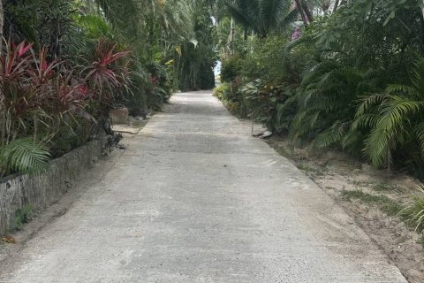 Chalet de 3 dormitorios en Surat Thani, Tailandia № 157353 - foto 10