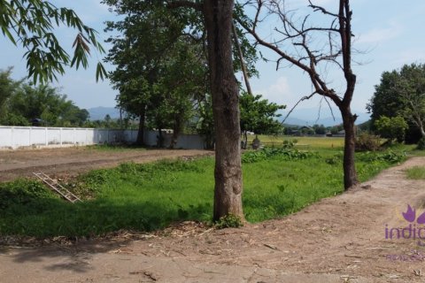 Terreno en Mae Taeng, Tailandia № 205555 - foto 15