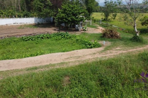 Terreno en Mae Taeng, Tailandia № 205555 - foto 20