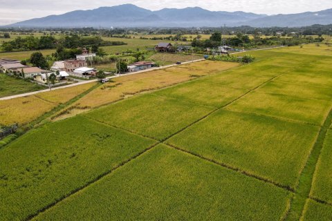 Land in Chiang Mai, Thailand № 159985 - photo 2