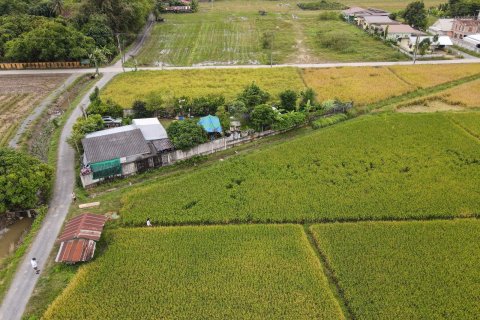Terrain à Chiang Mai, Thaïlande № 159985