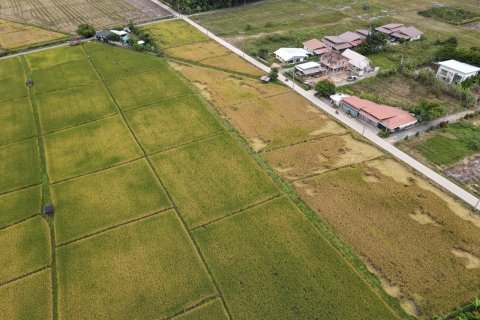 Land in Chiang Mai, Thailand № 159985 - photo 4