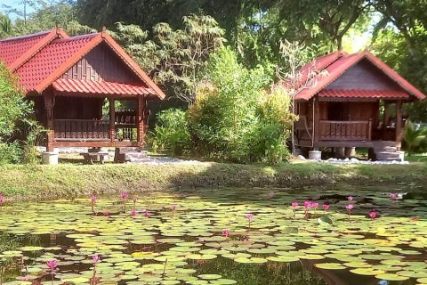 House in Udon Thani, Thailand 9 bedrooms № 140402 - photo 27