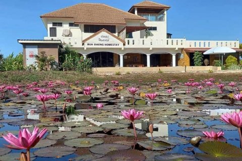 House in Udon Thani, Thailand 9 bedrooms № 140402 - photo 6