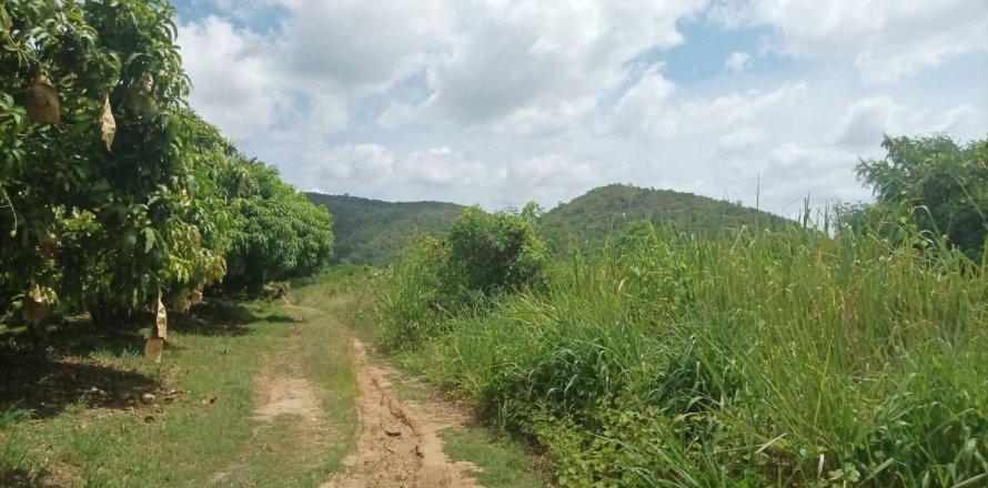 Grundstück in Hua Hin, Thailand 21188 m2 № 169163