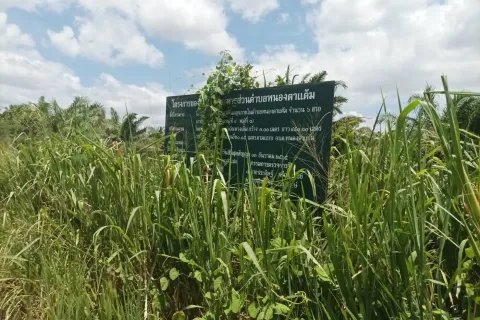 Grundstück in Hua Hin, Thailand 21188 m2 № 169163 - Foto 7