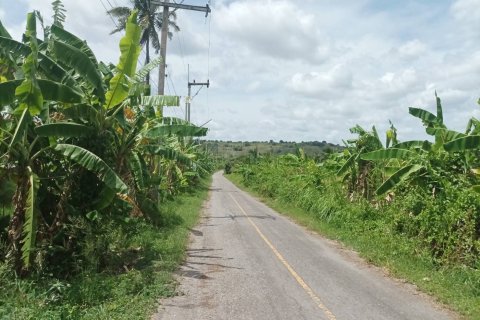 Grundstück in Hua Hin, Thailand 21188 m2 № 169163 - Foto 11