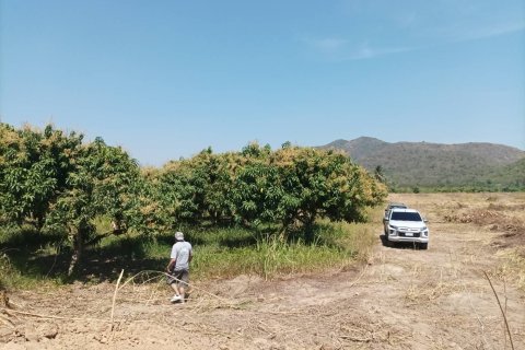 Grundstück in Hua Hin, Thailand 21188 m2 № 169163 - Foto 14