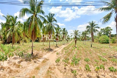 Land in Pattaya, Thailand 12800 sq.m. № 198504 - photo 4