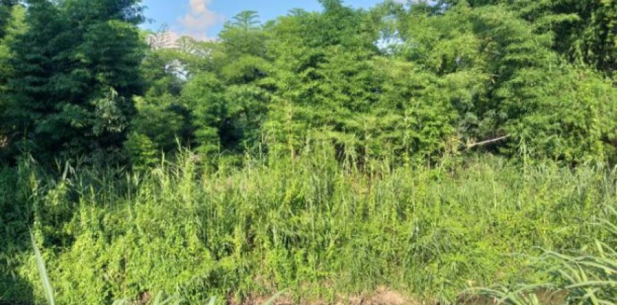 Terreno 1800 m2 en Mae Rim, Tailandia № 204013