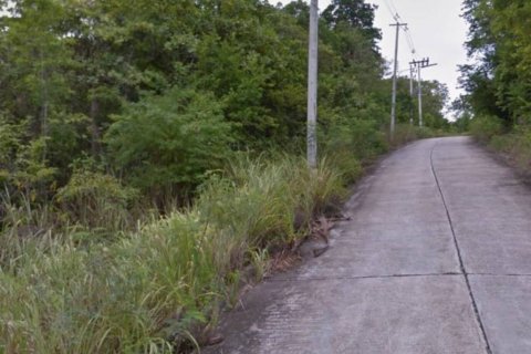 Terreno en Surat Thani, Tailandia № 115453 - foto 3