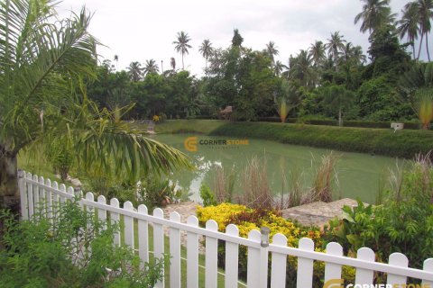 Estudio en Chonburi, Tailandia № 26872 - foto 3