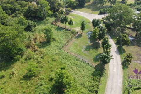 Land in Mae Rim, Thailand № 200339