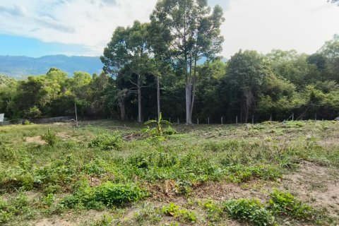 Grundstück auf Chaweng Beach, Ko Samui, Thailand 16200 m2 № 180133 - Foto 2