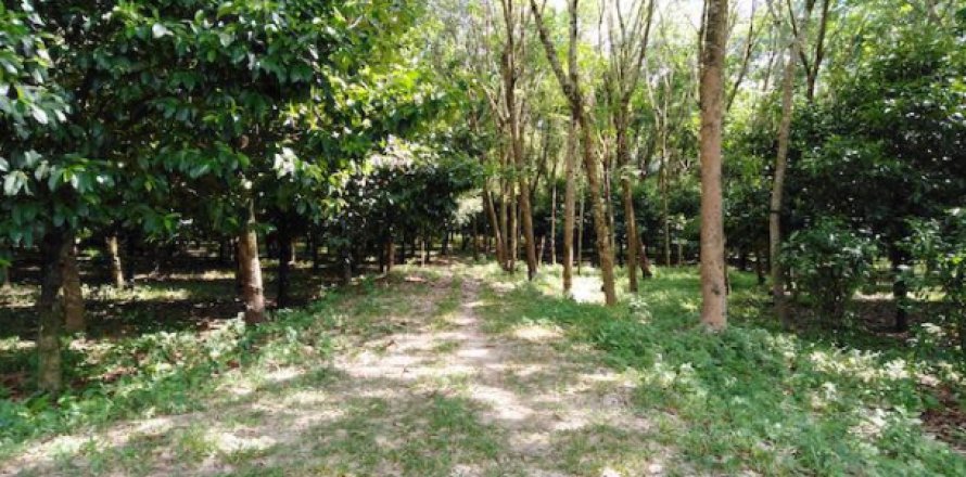 Terreno 25600 m2 en Phang Nga, Tailandia № 202921
