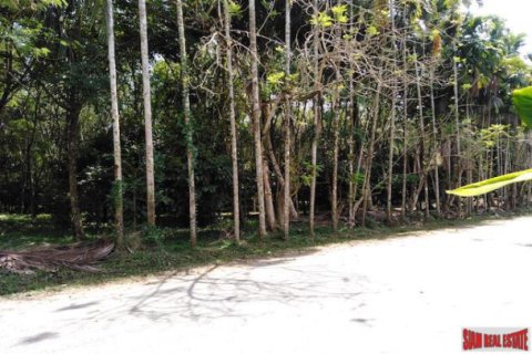 Terreno 25600 m2 en Phang Nga, Tailandia № 202921 - foto 5