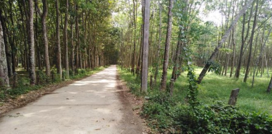 Terreno 153600 m2 en Phang Nga, Tailandia № 202922