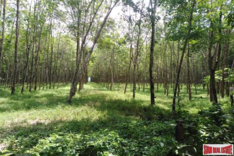 Terreno 153600 m2 en Phang Nga, Tailandia № 202922 - foto 3