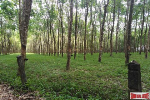 Terreno 153600 m2 en Phang Nga, Tailandia № 202922 - foto 4