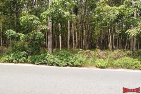 Terreno 153600 m2 en Phang Nga, Tailandia № 202922 - foto 5