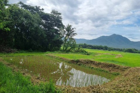 Grundstück in Chiang Mai, Thailand № 152490