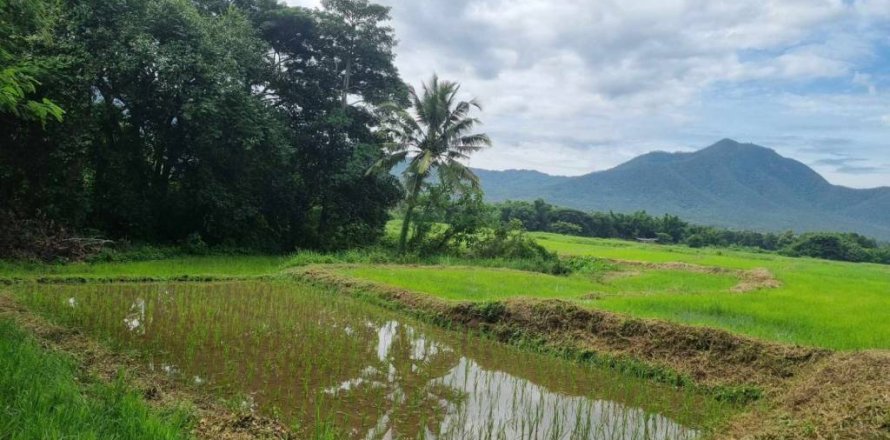 Terreno en Chiang Mai, Tailandia № 152490