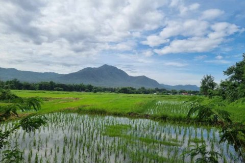 Terreno en Chiang Mai, Tailandia № 152490 - foto 2