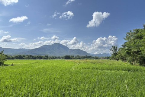 Terreno en Chiang Mai, Tailandia № 152490 - foto 3