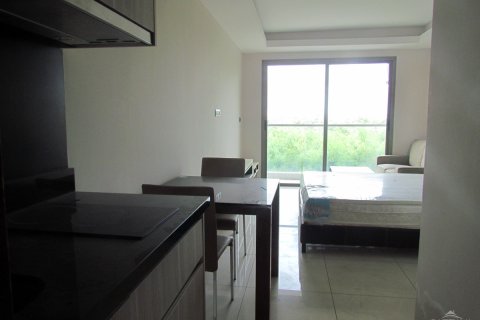 Studio in the Condo in Pattaya, Thailand in Laguna Beach Resort № 204566