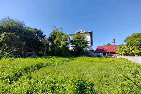 Terrain à Chiang Mai, Thaïlande № 162830