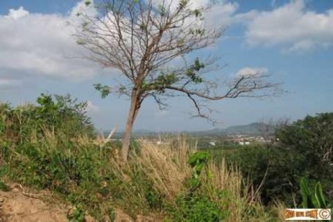 Terreno 2400 m2 en Chalong, Tailandia № 202422 - foto 5