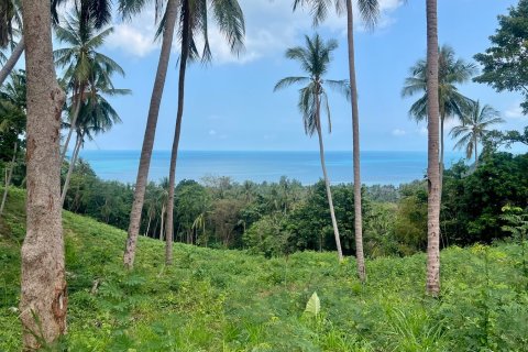Grundstück in Ko Samui, Thailand 1748 m2 № 172610