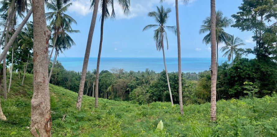 Terreno 1748 m2 en Ko Samui, Tailandia № 172610