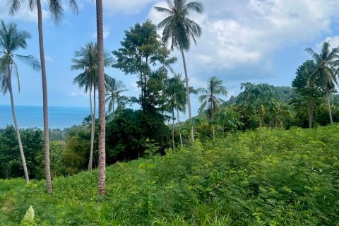 Terreno 1748 m2 en Ko Samui, Tailandia № 172610 - foto 3