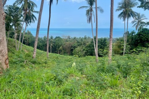 Terreno 1748 m2 en Ko Samui, Tailandia № 172610 - foto 2