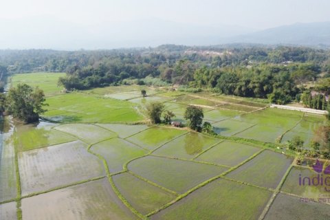 Land in Mae Rim, Thailand № 200330 - photo 8