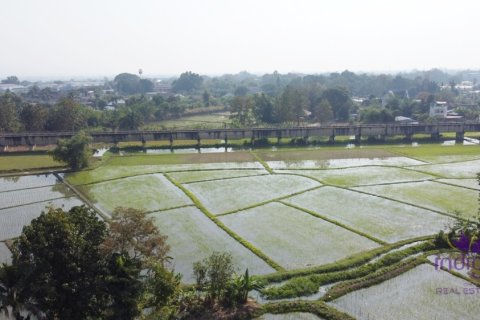 Land in Mae Rim, Thailand № 200330 - photo 11
