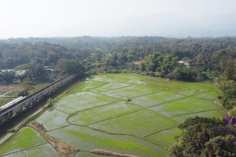 Land in Mae Rim, Thailand № 200330 - photo 6