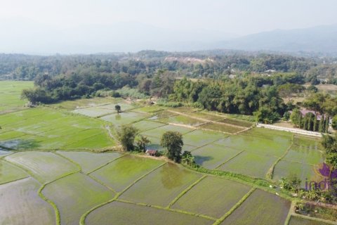 Land in Mae Rim, Thailand № 200330 - photo 9