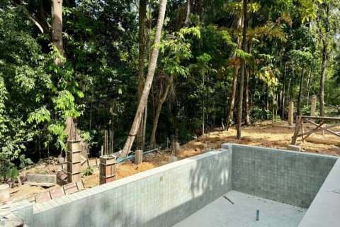 Chalet de 3 dormitorios en Surat Thani, Tailandia № 114151 - foto 3