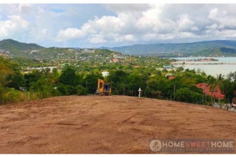 Land in Ko Samui, Thailand 16000 sq.m. № 180215