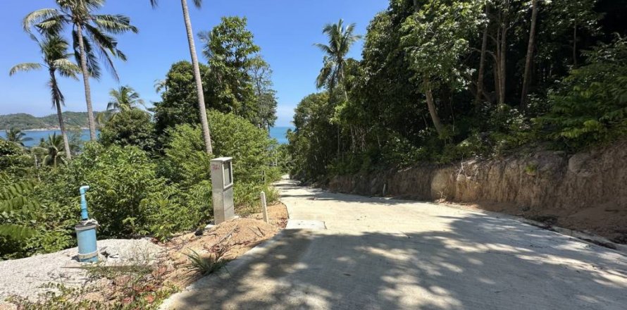 Land in Surat Thani, Thailand № 134622
