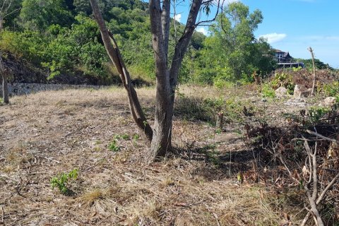 Land in Ko Samui, Thailand 1040 sq.m. № 66859 - photo 3