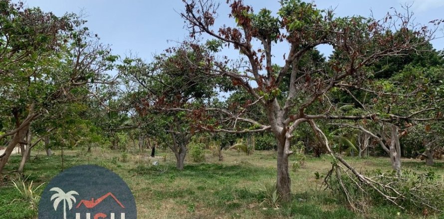 Terreno 3200 m2 en Ko Samui, Tailandia № 180076