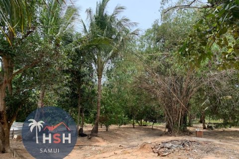 Terreno 7200 m2 en Ko Samui, Tailandia № 180075 - foto 2