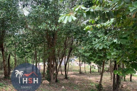 Terreno 2000 m2 en Ko Samui, Tailandia № 180077 - foto 2