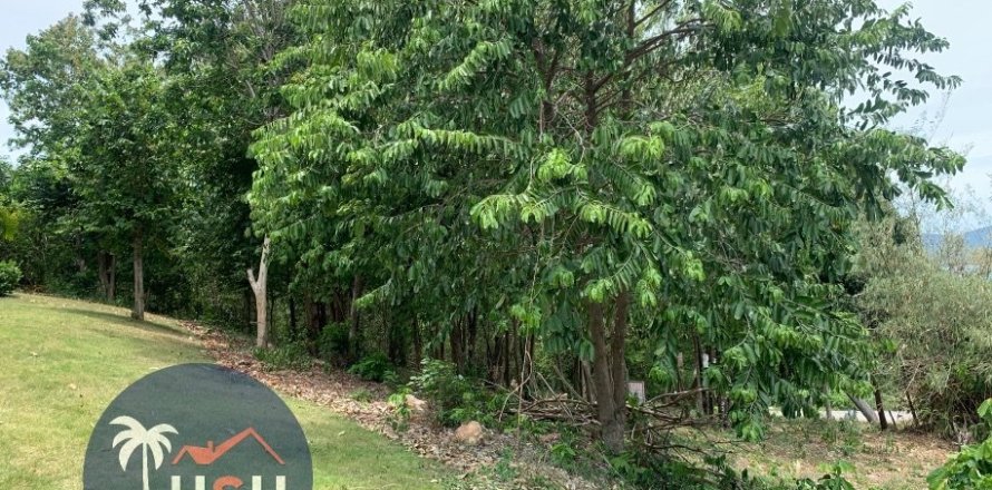 Terreno 2000 m2 en Ko Samui, Tailandia № 180077