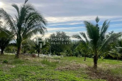 Land in Phuket, Thailand № 233124 - photo 5