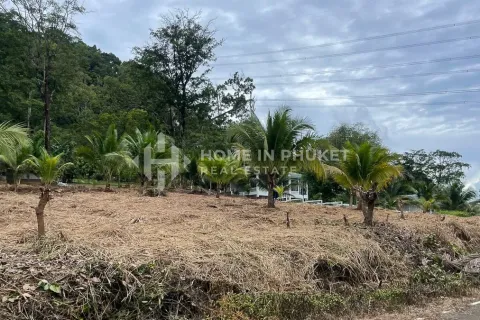 Terreno en Phuket, Tailandia № 233124