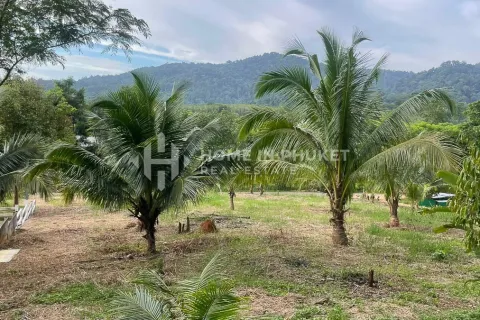 Land in Phuket, Thailand № 233124 - photo 3